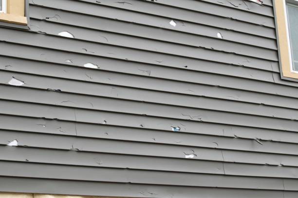 Professional Junk Removal in Byram, CT