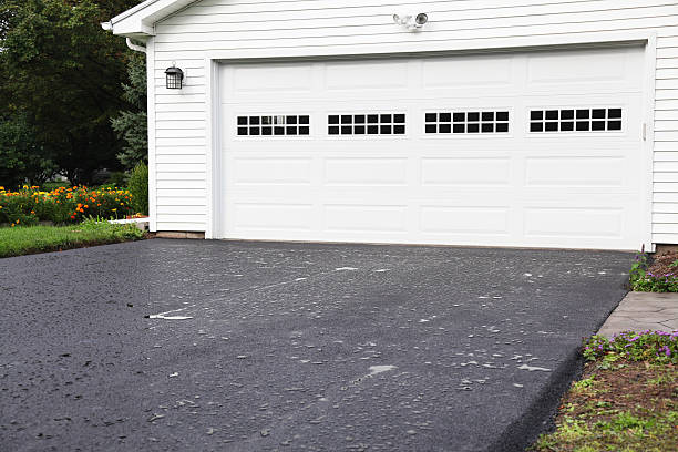 Best Yard Waste Removal  in Byram, CT